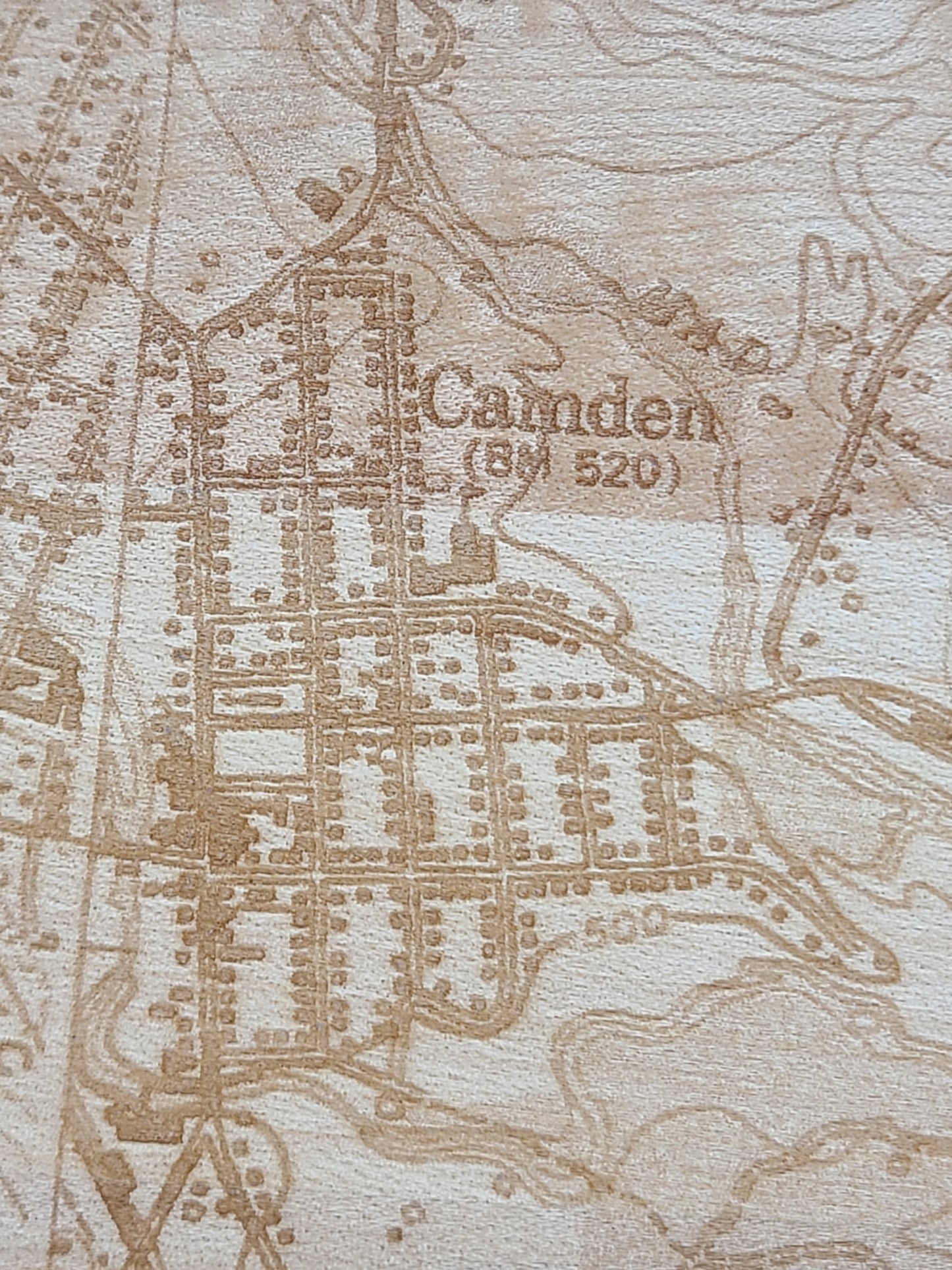 Camden NY Topographical Map Solid Maple Plaque